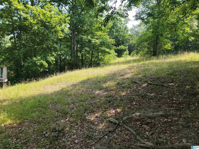 56 COUNTY ROAD 1643, Cullman, AL 35058