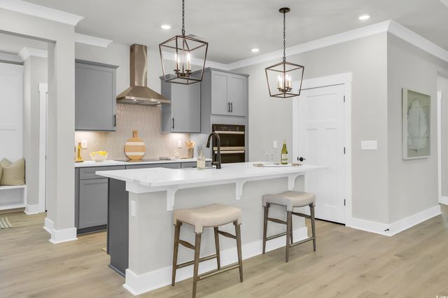 208 Blue Wing Court, Conway, SC 29527