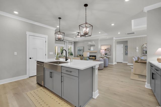 208 Blue Wing Court, Conway, SC 29527