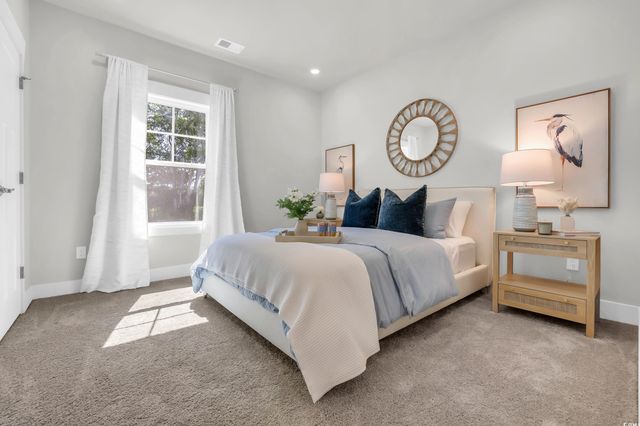 208 Blue Wing Court, Conway, SC 29527