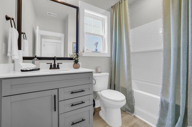 208 Blue Wing Court, Conway, SC 29527