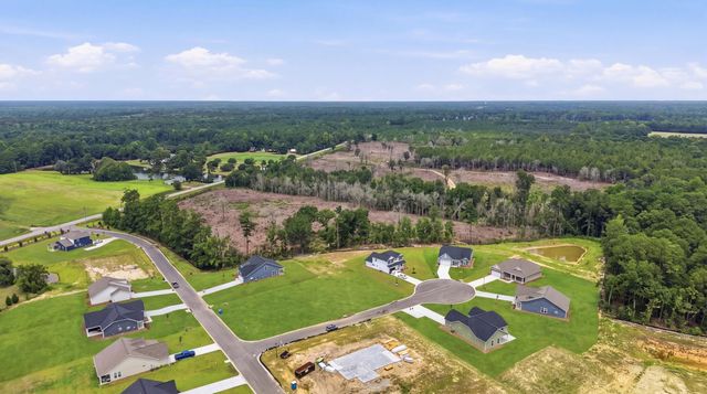 208 Blue Wing Court, Conway, SC 29527
