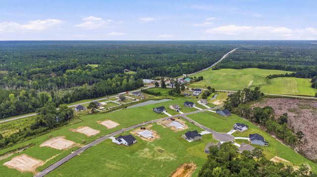 208 Blue Wing Court, Conway, SC 29527