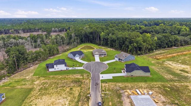 208 Blue Wing Court, Conway, SC 29527