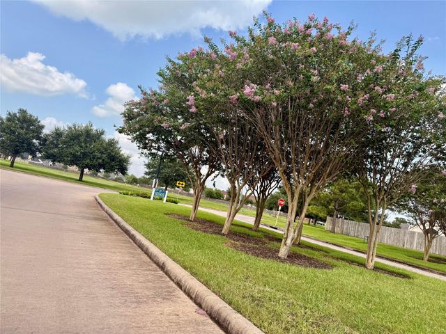 3906 Teal Run Meadows Drive, Fresno, TX 77545