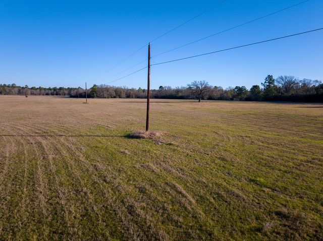 TBD Dickey Loop, Huntsville, TX 77320