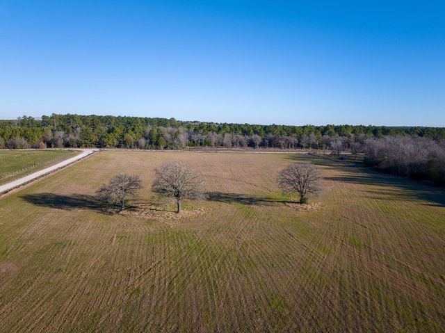 TBD Dickey Loop, Huntsville, TX 77320