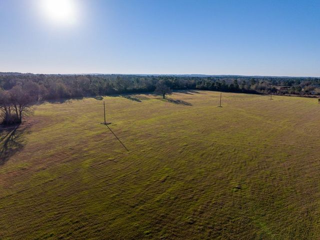 TBD Dickey Loop, Huntsville, TX 77320