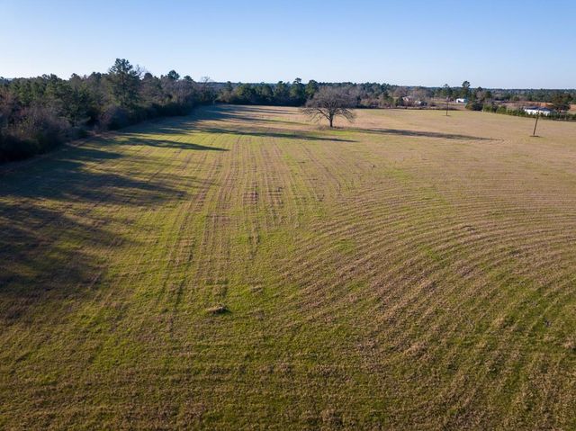 TBD Dickey Loop, Huntsville, TX 77320