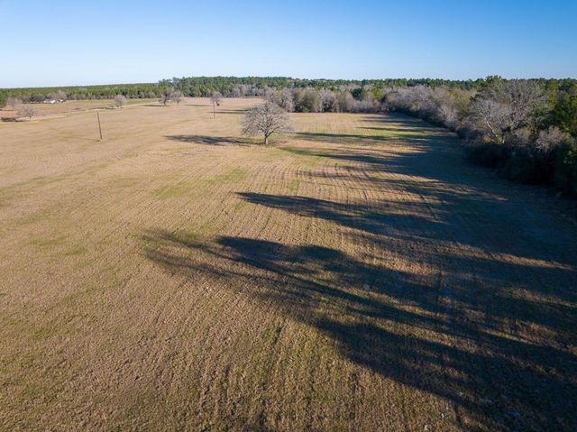 TBD Dickey Loop, Huntsville, TX 77320