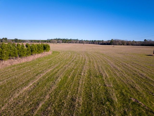 TBD Dickey Loop, Huntsville, TX 77320