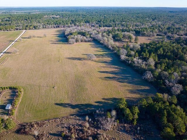 TBD Dickey Loop, Huntsville, TX 77320