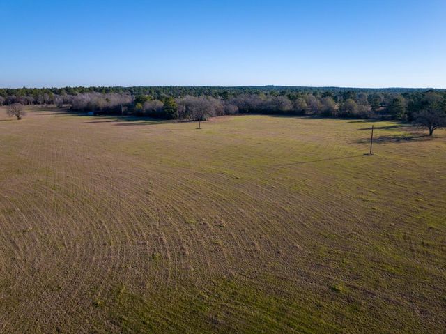 TBD Dickey Loop, Huntsville, TX 77320