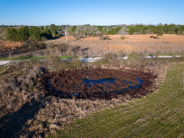 TBD Dickey Loop, Huntsville, TX 77320