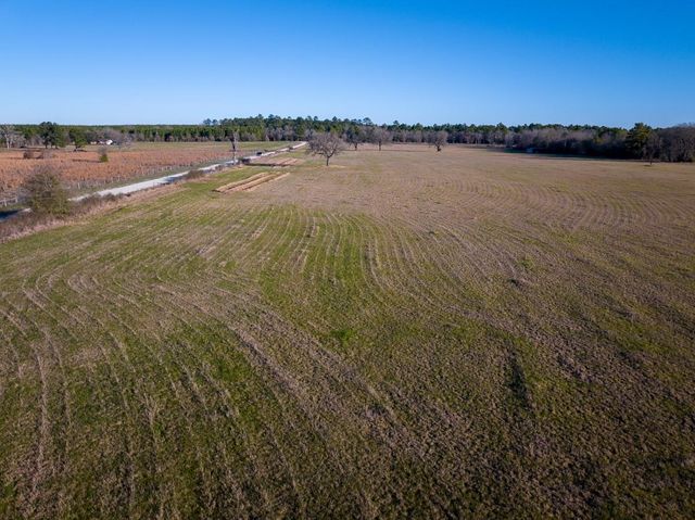 TBD Dickey Loop, Huntsville, TX 77320