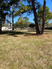 30714 Meadow Wood Lot 66 Drive, Magnolia, TX 77354