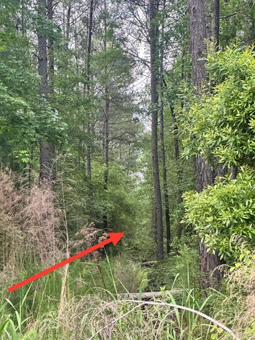 0 Highway 176, Moncks Corner, SC 29461