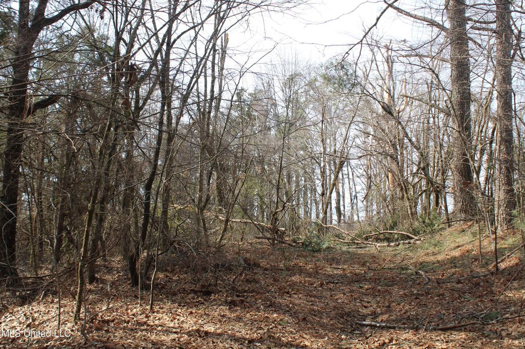 0 Laws Hill Road, Waterford, MS 38685 — exterior