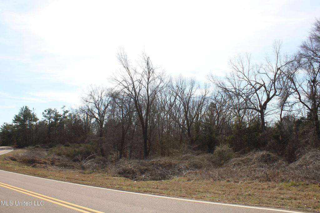 0 Laws Hill Road, Waterford, MS 38685 — photo 3