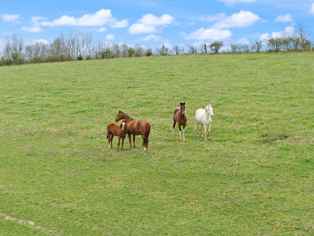 2690 Pond School Road, Kings Mountain, KY 40442