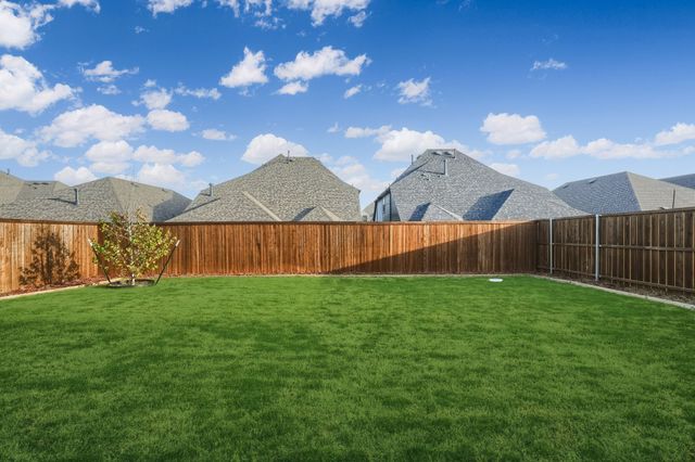 1124 Water Canna Drive, Justin, TX 76247