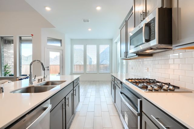 1124 Water Canna Drive, Justin, TX 76247