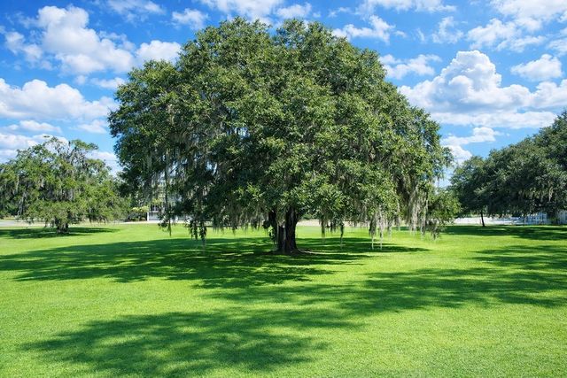 2017 Sutherland Bluff Drive NE, Townsend, GA 31331