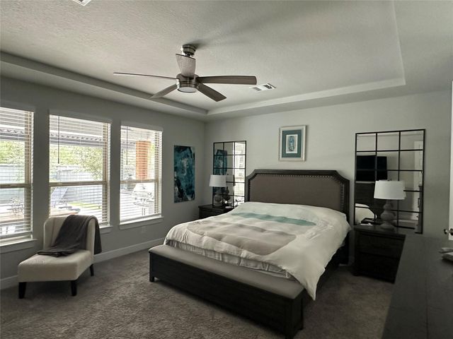 41 Snowdrop Lily Drive, Tomball, TX 77375