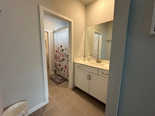 41 Snowdrop Lily Drive, Tomball, TX 77375