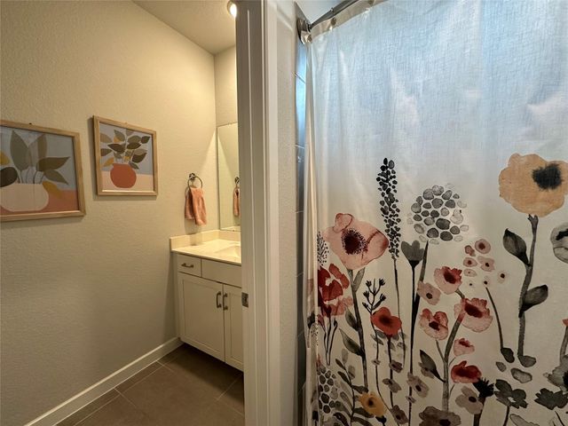 41 Snowdrop Lily Drive, Tomball, TX 77375
