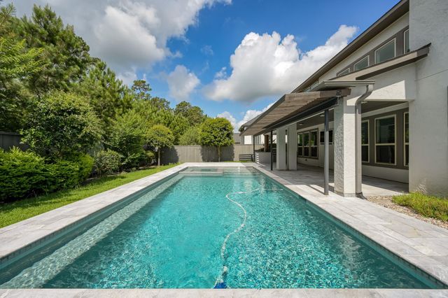 41 Snowdrop Lily Drive, Tomball, TX 77375