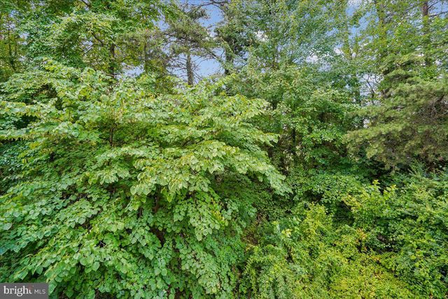 5569 JOWETT CT, Alexandria, VA 22315