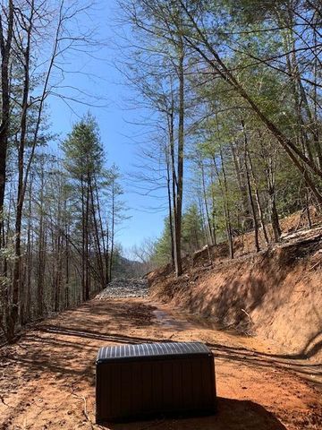578 Stillwind Drive, Topton, NC 28781