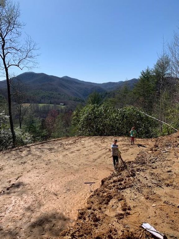 578 Stillwind Drive, Topton, NC 28781