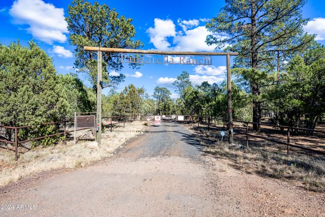2262 Meadow Trail --, Overgaard, AZ 85933