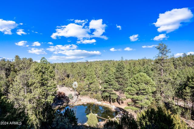 2262 Meadow Trail --, Overgaard, AZ 85933