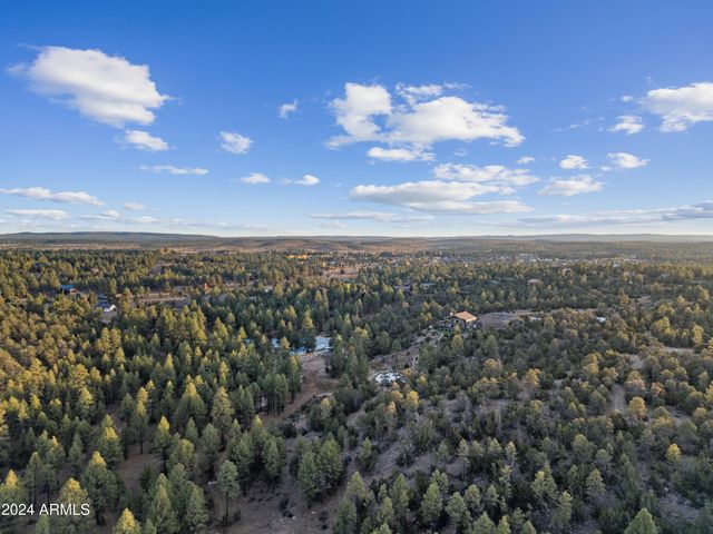 2262 Meadow Trail --, Overgaard, AZ 85933