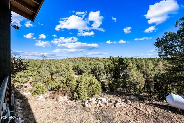 2262 Meadow Trail --, Overgaard, AZ 85933