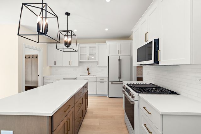 1025 Walter Street, Lemont, IL 60439