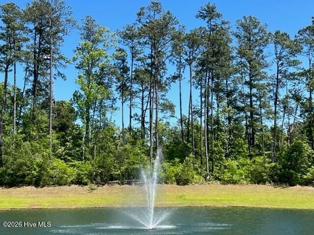 1574 E White Egret Lane NE 732, Bolivia, NC 28422