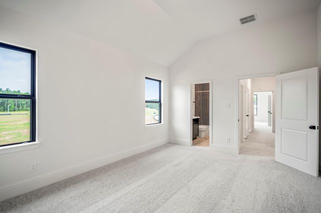 41821 Dalhart Drive, Todd Mission, TX 77316