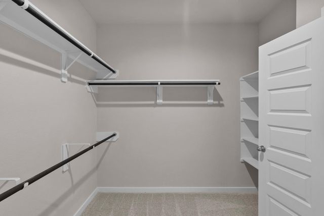 45 Shining Point Drive, Waller, TX 77484