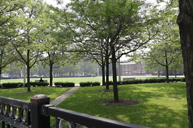 343 W Old Town Court 708, Chicago, IL 60610