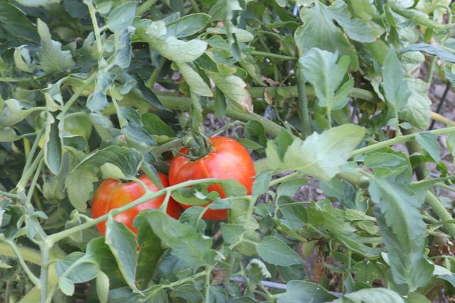 17984 State Hwy 248, Cassville, MO 65625