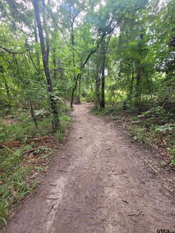 1363 CR 4530, Winnsboro, TX 75494