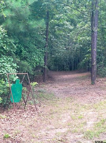 1363 CR 4530, Winnsboro, TX 75494