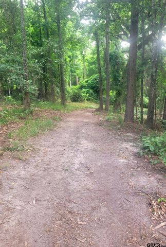 1363 CR 4530, Winnsboro, TX 75494