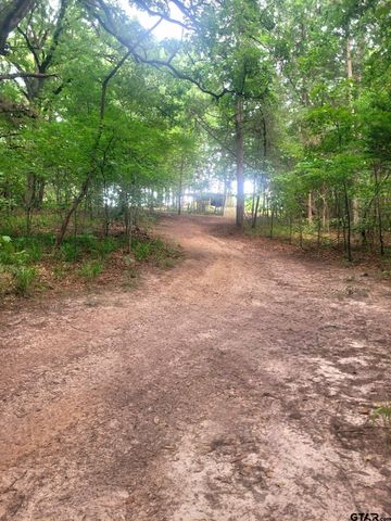 1363 CR 4530, Winnsboro, TX 75494