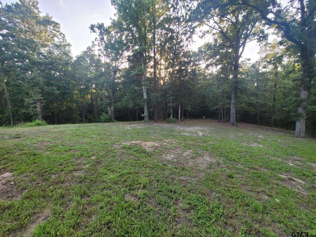 1363 CR 4530, Winnsboro, TX 75494
