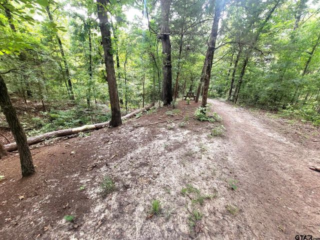 1363 CR 4530, Winnsboro, TX 75494